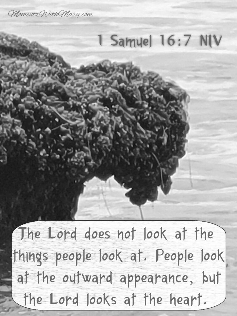 ocean rock covered with barnacles in the shape of bison The Lord does not look at the things people look at. 1 Samuel 16:7 People look at the outward appearance, but the Lord looks at the heart.