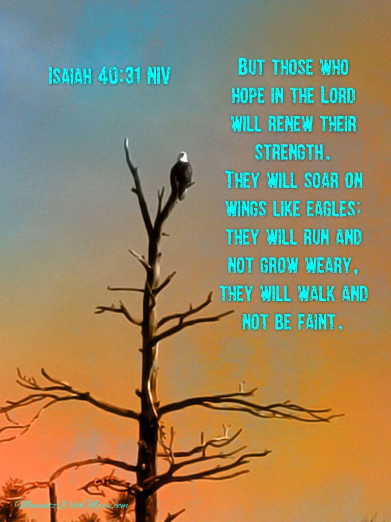 Isaiah 40:31 but those who hope in the Lord will renew their strength. They will soar on wings like eagles; they will run and not grow weary, they will walk and not be faint. Eagle resting on dead tree branches