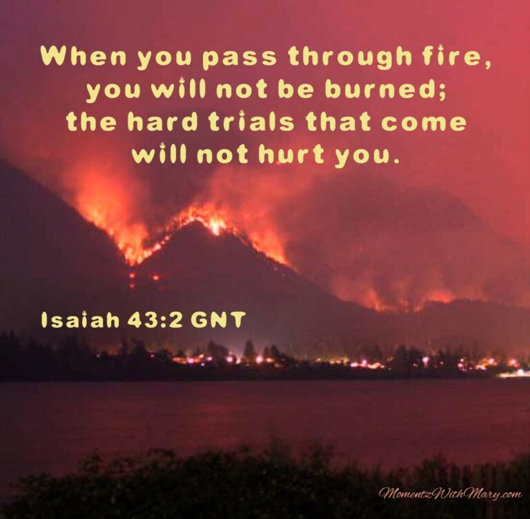 Isaiah 43:2 GNT When you pass through fire, you will not be burned; the hard trials that come will not hurt you. Wildfire burns brightly in the night