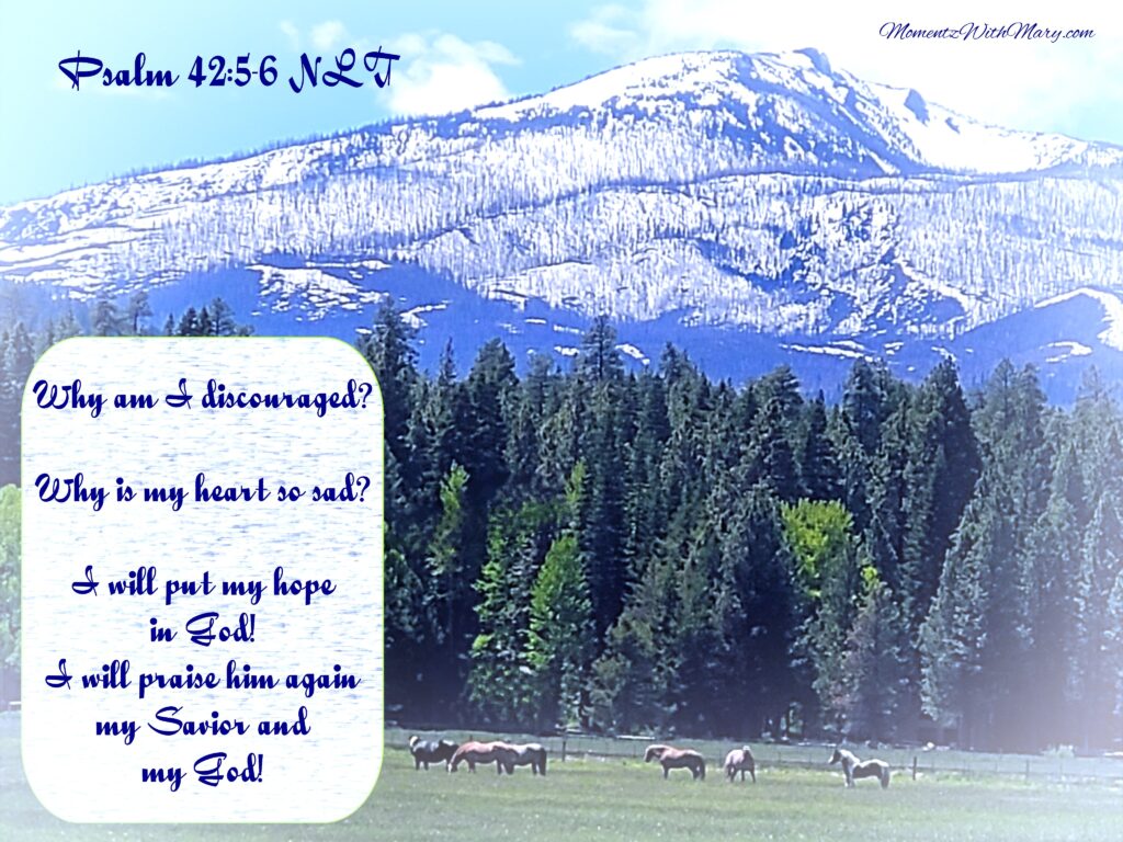 horses grazing in a green pasture with tall pine trees behind them and a snow cover mountain. Psalm 42:5-6 NLT
Why am I discouraged?
    Why is my heart so sad?
I will put my hope in God!
    I will praise him again—
    my Savior and my God!
