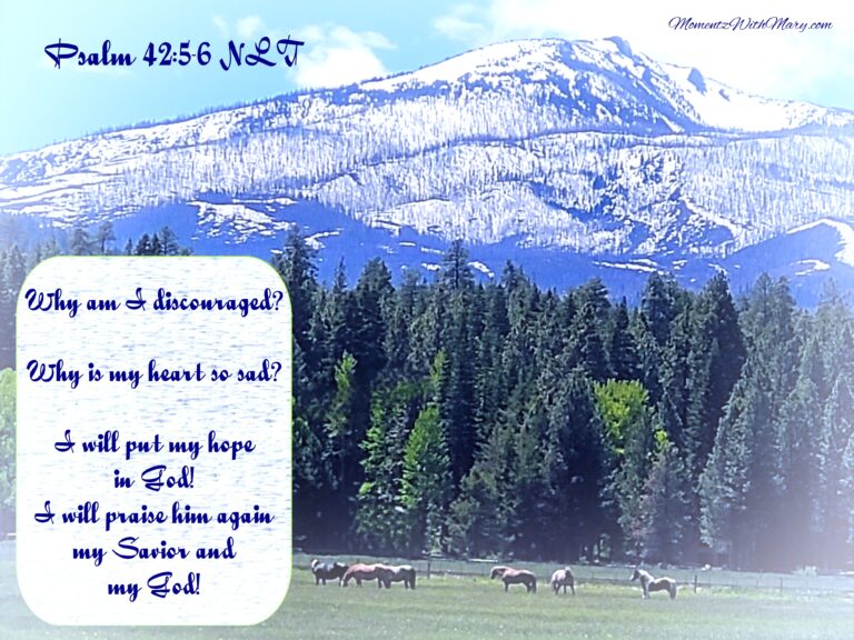 horses grazing in a green pasture with tall pine trees behind them and a snow cover mountain. Psalm 42:5-6 NLT Why am I discouraged? Why is my heart so sad? I will put my hope in God! I will praise him again— my Savior and my God!